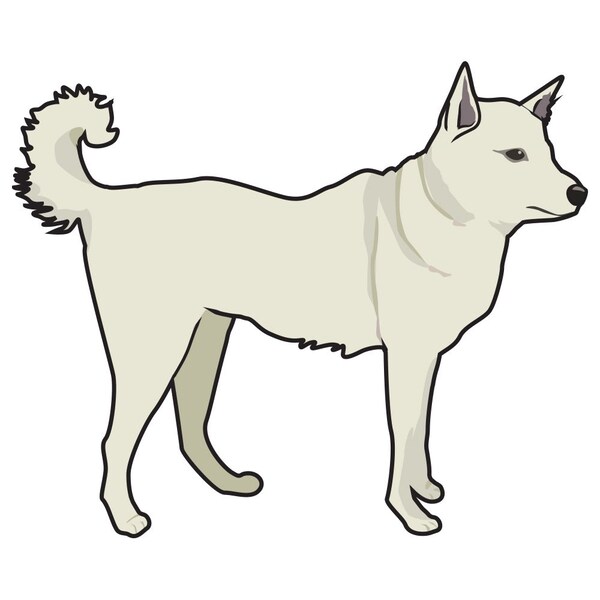Canaan Dog Dog Decal, Dog Lover Decor Vinyl Sticker